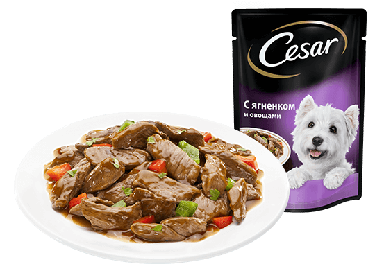 Корм CESAR